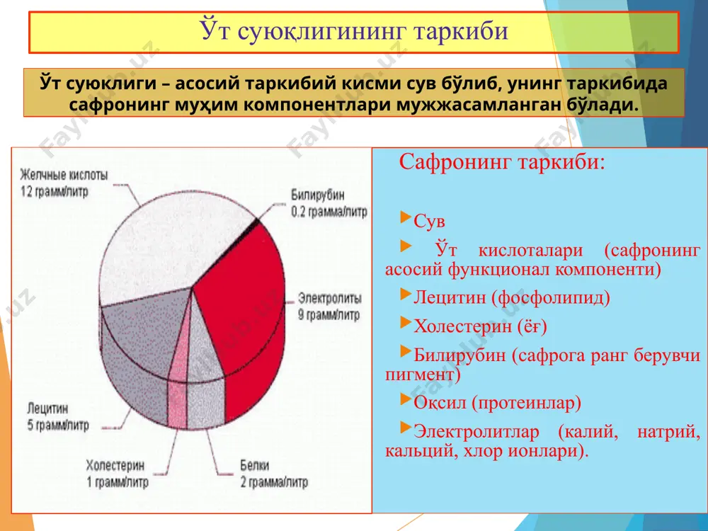 ўт тош касаллиги - Page 4