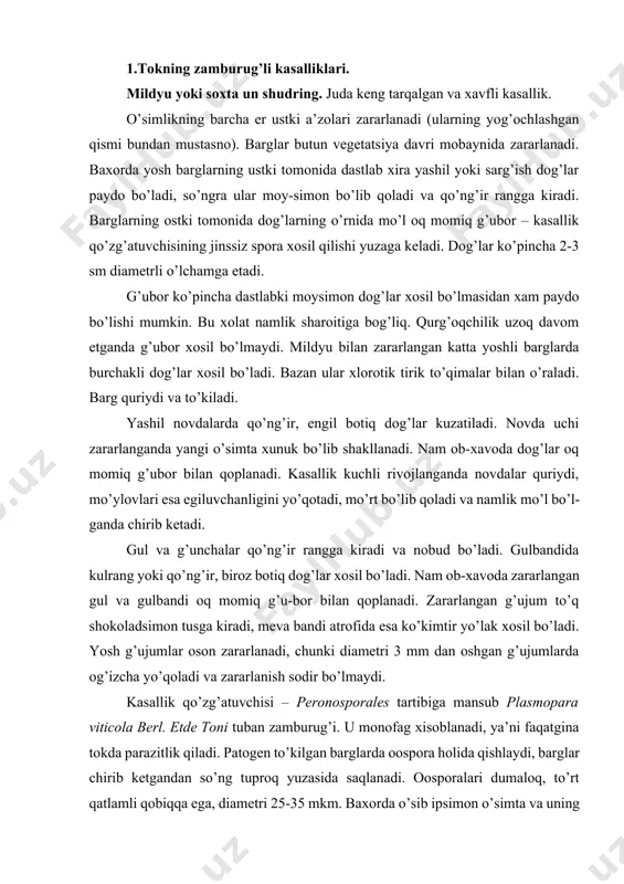 ydi. kasallik qo’zg’atuvchisi – peronosporales tartibiga mansub plasmopara viticola berl. etde toni tuban zamburug’i. u monofag xisoblanadi, ya’ni faqatgina tokda parazitlik qiladi. patogen to’kilgan barglarda oospora holida qishlaydi, barglar chirib ketgandan so’ng tuproq yuzasida saqlanadi. oosporalari dumaloq, to’rt qatlamli qobiqqa ega, diametri 25-35 mkm. baxorda o’sib ipsimon o’simta va uning uchida qavariqlik – birlamchi zoosporangiy (35-55x25-27 mkm) xosil qiladi. zoosporangiyda loviya-simon shaklli, egilgan tomonida ikkita xivchinli 8-10 ta zoo-spora (6-8x4-5 mkm) shakllanadi. zoosporalar faqatgina suvda yashashi va xarakatlanishi mumkin. o’simlikning yashil qismiga tushganda ular ochiq og’iz-chalar tomon tez xarakatlanadi, so’ngra xivchinlarini o’ziga tortadi, yupqa qobiqqa o’raladi va o’simlik to’qimasiga og’izcha orqali kiruvchi ipsimon o’simta bergan xolda o’sadi. o’simta xujayralar oralig’ida joylashuvchi mitseliyga g’ovlaydi. o’simlikxo’jayinning xujayrasi ichiga gaustoriylarini kiritadi va u orqali zamburug’ ozuqa moddalarini o’zlashtiradi. mitseliy o’sgan sari xujayraning nobud bo’la boshlashida ko’payish a’zolari shaklla-nadi. yozda mos xoldagi namlikda zamburug’ odatda jinssiz spo-ralar – zoosporangiyli zoosporabandlar xosil qiladi, ular og’izcha …