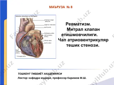 ревматизм — PPT