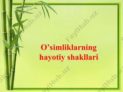 o’simliklarning hayotiy shakllari — PPT