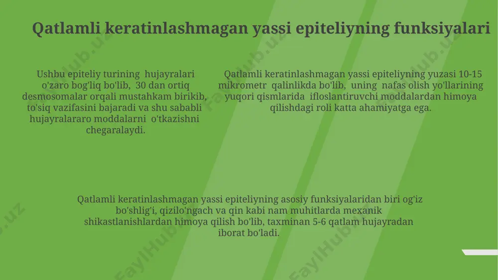 qatlamli keratinlashmagan yassi epiteliyning morfologiyasi - Page 5