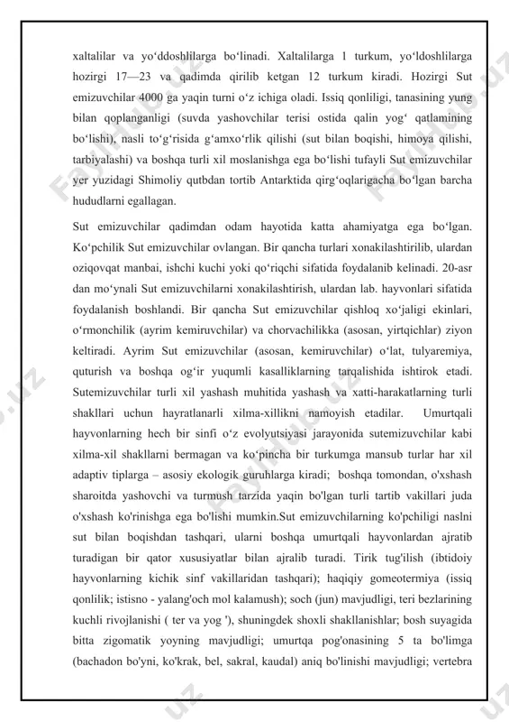 'lishining o'ziga xos xususiyati, qachon torusda u lateral o'simtalar - "shoxlar" bilan kesmada "kapalak" figurasini hosil qiladi. oldingi miyadan medulla oblongata va dorsalgacha bo'lgan piramidal yo'lning mavjudligi simpatik va parasempatik asab tizimlarining innervatsiya sohalarining to'liq bir-biriga mos kelgunga qadar o'zaro bir-biriga mos kelishi; o'rta quloqning uchta eshitish suyaklarining mavjudligi, tashqi quloq kanali va aurikula; o'pkaning alveolyar tuzilishi; to'rt kamerali yurak va bitta (chap) aorta yoyi mavjudligi bilan ta'minlangan qon aylanish doiralarining to'liq ajralishi; buyraklardagi portal qon aylanishining yo'qligi, boshqalarga xosdir. to'rt oyoqlilar; yadrosiz eritrotsitlar; ko'pchilik sutemizuvchilar, ko'r ichak devorlarida limfa to'qimalarining sezilarli miqdori; moyaklar oval shakli; prion kasalliklariga moyillik (sut emizuvchilardan tashqari, ular faqat ba'zi zamburug'larda ma'lum). 1.1.oila haqida umumiy tushuncha mushuksimonlar (felidae) – yirtqich sutemizuvchilar turkumi oilasi. kattaligi har xil. boshi yumaloq, dumi odatda uzun. oyoqlari nisbatan uzun, barmoqlarida yuradi. oldingi oyoqlari 5 barmoqli (1-barmog’i boshqalaridan balandroqda joylashgan), orqa oyoqlari 4 barmoqli. tirnoqlari yurganida ichiga tortiladi ( gepardlarda tortilmaydi) …