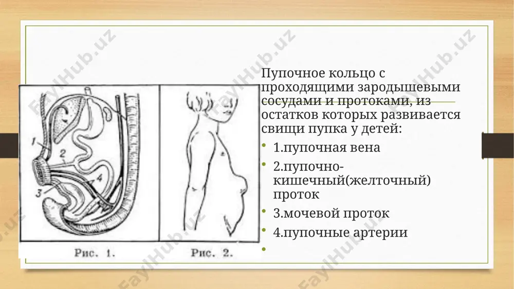оявления. диагноз подтверждают при узи. лечение хирургическое - иссечение кисты. 16 image5.png image6.png image7.png image8.png image9.jpeg image10.jpeg image3.png image4.png /docprops/thumbnail.jpeg