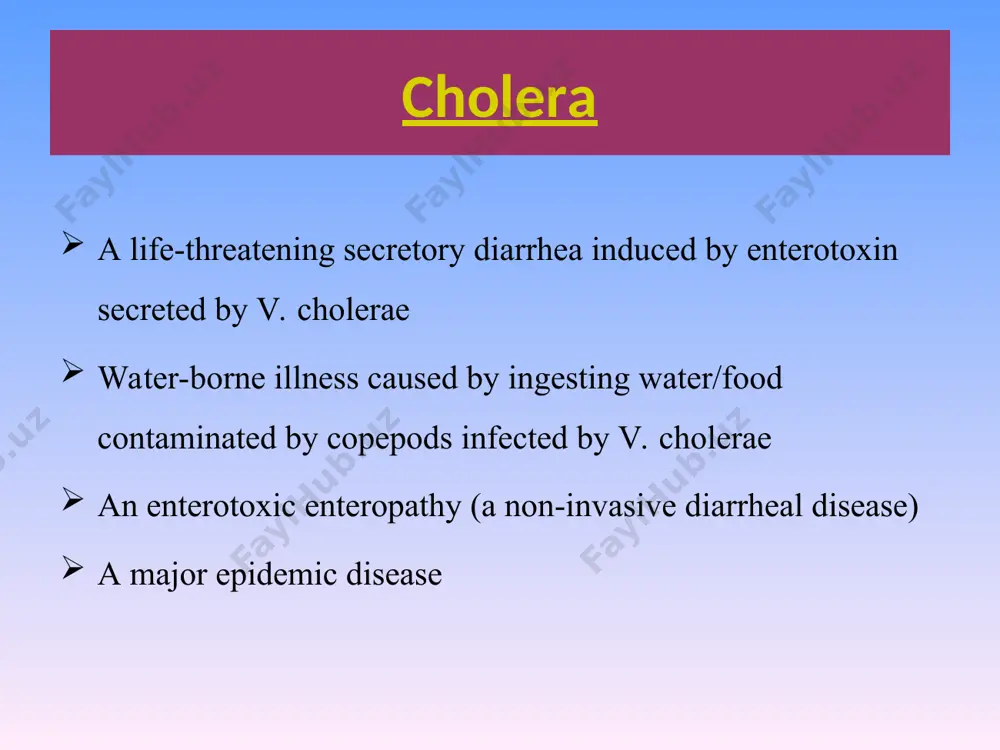 oxin (exotoxin [cholera toxin ct]) ct is antigenically and pharmacologically identical in all sero and bio types pathogenesis of v. cholerae cholera toxin (ct) structure the a subunit contains an intracellular adp-ribosyltransferase activity. the mature a subunit is proteolytically cleaved to produce an a1 polypeptide, which contains the intracellular enzymatic activity, and an a2 polypeptide. ct is a prototype a/b subunit toxin, 1a+5b the b subunit form a pentameric ring, which binds the holotoxin to a eukaryotic cell surface receptor. cholera toxin (ct) structure after cleavage, the a1 and a2 polypeptides remain linked by a disulphide bond. a and b subunits are connected through the c-terminus of the a2 subunit, which is inserted through the central pore of the b pentamer. how does cholera toxin work? the biological activity of ct is dependent on binding of b pentamer to specific receptors gm1 ganglioside. internalization is initiated once ct-gm1 complexes cluster …