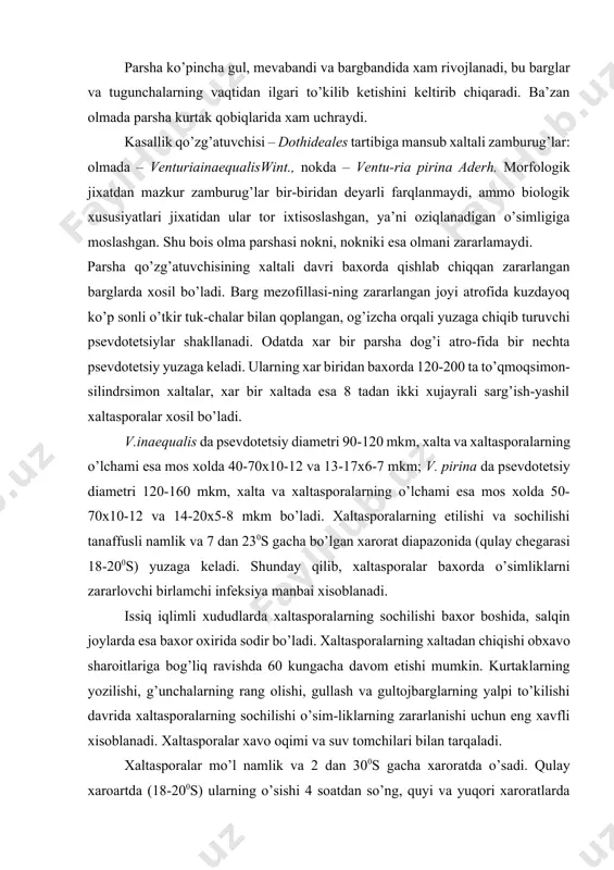 vchi birlamchi infeksiya manbai xisoblanadi. issiq iqlimli xududlarda xaltasporalarning sochilishi baxor boshida, salqin joylarda esa baxor oxirida sodir bo’ladi. xaltasporalarning xaltadan chiqishi obxavo sharoitlariga bog’liq ravishda 60 kungacha davom etishi mumkin. kurtaklarning yozilishi, g’unchalarning rang olishi, gullash va gultojbarglarning yalpi to’kilishi davrida xaltasporalarning sochilishi o’sim-liklarning zararlanishi uchun eng xavfli xisoblanadi. xaltasporalar xavo oqimi va suv tomchilari bilan tarqaladi. xaltasporalar mo’l namlik va 2 dan 300s gacha xaroratda o’sadi. qulay xaroartda (18-200s) ularning o’sishi 4 soatdan so’ng, quyi va yuqori xaroratlarda (mos xolda 6 va 270s) esa 6 soatdan so’ng boshlanadi. xaltaspora o’simta xosil qiladi, u o’simlik to’qimasiga kirib, mitseliyning rivojlanishini boshlab beradi. zamburug’ yosh barglarni zararlaydi, u 25 kunlikdan katta barglarga kirmaydi. kasallikning inkubatsiya davri 8-21 kungacha davom etadi. xarorat 17-210s bo’lganda u 10 kunni (nokda 1-2 kun kamroq) tashkil etadi. parshaning birinchi belgilari gultojbarglarning yalpi to’kilishi davrida kuzatiladi. parsha o’simlikning o’sayotgan a’zolarida konidial davrida paydo bo’ladi. barg epidermisi ostidagi …