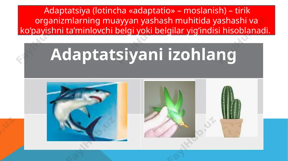 tirik organizmlarning yashash muhitlari - Page 3