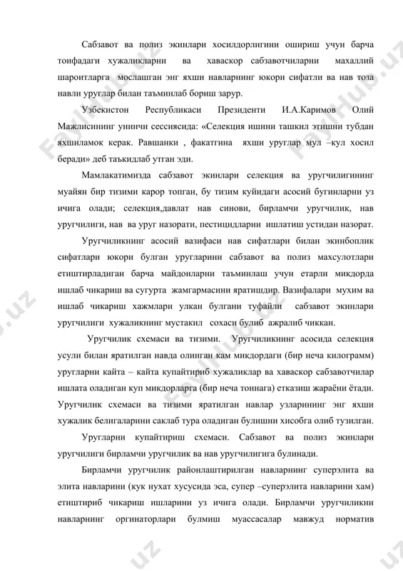 уз ичига олади. бирламчи уругчиликни навларнинг оргинаторлари булмиш муассасалар мавжуд норматив хужжатларга мувофик («сабзавот, полиз экинлар, хашаки илдизмевалилар ва хашаки карам элита уругларини ишлаб чикариш тугрисида низом» ва «сабзавот, хашаки илдиз мевалар ва хашаки карам экинлари апробациясига доир йул – йуриклар» га мувофик) холда ва махсус ишлаб чикилиб, тасдикланган методикалар буйича олиб борадилар. суперэлита деб навни етиштириб чикарган киши, яъни нав муаллифи булган, навга хос белгиларни хаммадан кура купрон акс эттирадиган дастлабки уругларга айтилади. суперэлита уруглари навга хос сифатлари жихатидангина эмас, балки экишга боп, экиш сифатлари билан хам мавжуд давлат андозалари талабларига тула – тукис жавоб беради. суперэлита уругларидан ундирилган усимликлардан экиннинг нави хамда турига караб 100 – 200 кг атрофида келадиган озрок микдордаги кейинги авлод суперэлита ва элита уруглари олинади. суперэлита уруглар энг кимматли ва навнинг таъриф – тавсифига караб тула жавоб берадиган усимликлардан йиглади. элита уругларини йигиш учун купрок микдордаги усимликлардан фойдаланилади, шунинг учун буларнинг орасида киммати камрок …