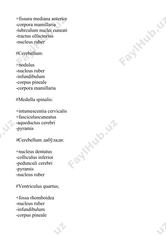 ди : +nucleusaccessorius -nucleusdentatus -trigonumnervihypoglossy - infundibulum -corpus pineale #prosencephalon дабўлади: +diencephalon -hemispheria cerebelli -mesencephalon -ventriculus quartus -tubrculum nuclei cuneati #ядра n. facialis: nfacialisнингузаклари: +nucleus motorius +nucleus salivatorius superior +nucleus solitarius -nucleus ambiguus -n. palatopharyngeus -nucleus salivatorius inferior #prosencephalon дабўлади: +telencephalon -hemispheria cerebelli -mesencephalon -ventriculus quartus -tubrculum nuclei cuneati #гденаходятсянейроны tr. corticospinalis-нингнейронларикаердажойлашган? +girus precentralis,cornu anterius medullae spinalis -girus postcentralis,cornu posterius medullae spinalis -lobus frontalis,medulla spinalis -girus frontalis superior,cornu anterius medullae spinalis -nucleus dentatus cerebelli #mesencephalon дабўлади: +colliculi inferiores +aqueductus cerebri -infundibulum -corpus pineale #n. mandibularis: +n. massetericus +n. pterygoideus lateralis +n.tensoris veli palatini +n. pterygoideus medialis +n. mylohyoideus -n. olfactorius -n. hypoglossus -n. frontalis. -sulcus a . subclavia. -margo medialis #rhombencepholon +myelencephalon +metencepholon -mesencepholon -diencepholon #rhombencepholon +myelencephalon +metencepholon -prosencepholon -mesencepholon #оболочкиглазногояблока.кўзолмасинингпардалари. +chorioidea -tunica serosa -tunica muscularis -tunica mucosa -pupilla #нейроны болевой и температурной чувствительности. огрик ва харорат утказув йулларининг нейронлари. +nucleus lateralis thalami -cornu anterior medullae spinalis -nucleus ruber -gyrus …