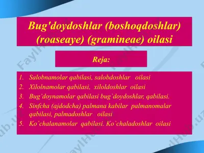 bug'doydoshlar (boshoqdoshlar) (roaseaye) (gramineae) oilasi — PPTX
