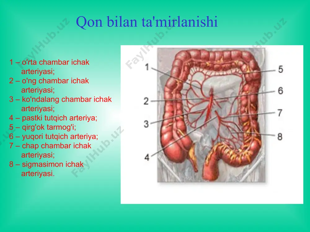 plari 75% to'g'ri va sigmasimon ichakda uchraydi yo'g'on ichakning yuvenal giperplastik bezsimon bezsimon-tukli tukli diffuz polipozi uchraydi. diagnostikasi sigmasimon ichak polipi yo'g'on ichak katta polipi (6x6 sm), asosi 3 sm. polip ichak ichki qismini toraytirgan, qisman ichak tutilishi keltirib chiqargan yo'g'on ichak polipi asosi keng yo'g'on ichak polipi polip olib tashlangan sohada qon ketishi kuzatiladi davolash poliplarni endoskopik yul bilan olib tashlashga misol (polipektomiya) elektrokoagulyatsiya polipektomiya polip tubidagi tomirlarga klipsa qo'yish davolash polipni endoskopik rezektsiyasi ko'pgina tekshiruvlar shuni ko'rsatadiki, yo'g'on ichak raki (adenokartsinoma) yaxshi sifatli polipdan (adenomadan) o'sadi. yo'g'on ichak raki epitelial o'sma bo'lib, ichakni ko'pincha distal qismlarini shikastlaydi. uzoq muddat simptomlarsiz kechadi, oxirgi bosqichlarda qon ketish, ichni qotishi, og'riqlar kuzatiladi. yo'g'on ichak saratoni (rak) тушунча i bosqich – uncha katta bo'lmagan chegaralangan o'sma, shilliq qavat va shilliq osti qavatda joylashgan. limfa tugunlarga metastazlar yo'q. ii bosqich : a) katta o'lchamli o'sma, lekin ichak ko'ndalang o'lchamini yarmigacha yetadi, regionar metastazlarsiz; …