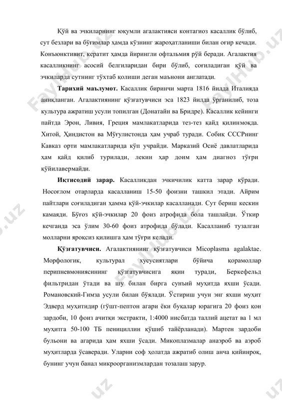 инроқ, бунинг учун банал микроорганизмлардан тозалаш зарур. чидамлилиги. агалактиянинг қўзгатувчиси юқори ҳарорат ва қуритишга чидамсиз бўлиб, минус ҳароратда узоқ муддат сақлана олади. 60°с да 5 минутда ўлади. 5-15°с да эса (сутда) бир неча ой сақланади. плюс ҳароратда сувда 23 кун, қийда эса 10 кун яшай олади. 2-3% ли креолин, 3% ли фенол, 20% ли сўндирилган оҳак, 2-3% ли ишқорлар дезинфекцияда яхши наф беради. эпизоотологияси. табиий шароитда қўй ва эчкилар касалланиб, эчкилар ўта мойил бўлади. кўпинча соғиладиган қўй-эчкилар касалланади. 20 кунликгача бўлган қўзи ва улоқлар ҳам агалактияга мойил бўлиб, уларда касаллик оғир кечади. булардан ёш ва сутдан чиққан қўй-эчкилар кам касалланади. касаллик одамларда учрамайди. касаллик қўзғатувчисининг манбаи касал ва ундан тузалган қўй-эчкилар ҳисобланади. агалактиянинг қўзғатувчиси асосан сут билан, кўздан ажралган суюқлик орқали, сийдик ҳамда ахлат билан ташқи муҳитга ажралади. клиник соғайгандан кейин ҳам қўй-эчкилар микоплазмани 5-6 ойлаб ташқи муҳитга ажратиб туради. касаллик оқибатида бола ташлаган қўй-эчкилар ташқи муҳитга жуда кўп миқдорда …