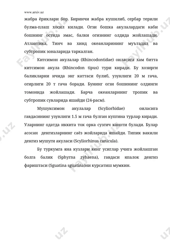 коплагичлари. териси куп каватли бир хужайрали безларга бой эпидермадан ва унинг тагида жойлашган бириктирувчи тукимали катлам – кориумдан тузилган. терида жойлашган пигментлар хар бир турга хос ранг беради. терисида плакоид тангачалар жойлашади. бундай тангачалар кориумда жойлашган юмалок ёки ромбсимон пластинкалардан ва унга жойлашган ва учи оркага кайрилиб турувчи эпидермисдан чикиб турувчи тишчадан иборат. (25-расм). тангачанинг ичи буш булиб, кон томирларига бой булади. тангача суякка якин булган дентиндан ва тикончани коплаб турган эмалдан тузилган. плакоид тангачалар жагларда жойлашиб тишга айланади. тишлар ейилиб, янгиси билан алмашиниб туради. 25-расм. акуланинг плакоид тангачаси билан терисининг бўйига кесими: 1-ривожланишнинг турли давридаги плакоид тангачалар (кораси дентин, оки-юмшоклик билан тўлган ички бўшлик), 2-эмал катлами, 3-чин тери, 4-эпидермис. скелети. хозирги замонда яшовчи тогайли баликларнинг скелетида суяк булмайди. скелети ук скелетга, бош скелетга, сузгич канотлар скелети ва уларнинг камар скелетига булинади. њк скелети умуртка погонасидан (columna vertebralis) тузилган ва тана хамда дум булимларига ажралади. у куп сонли умурткалардан ташкил …