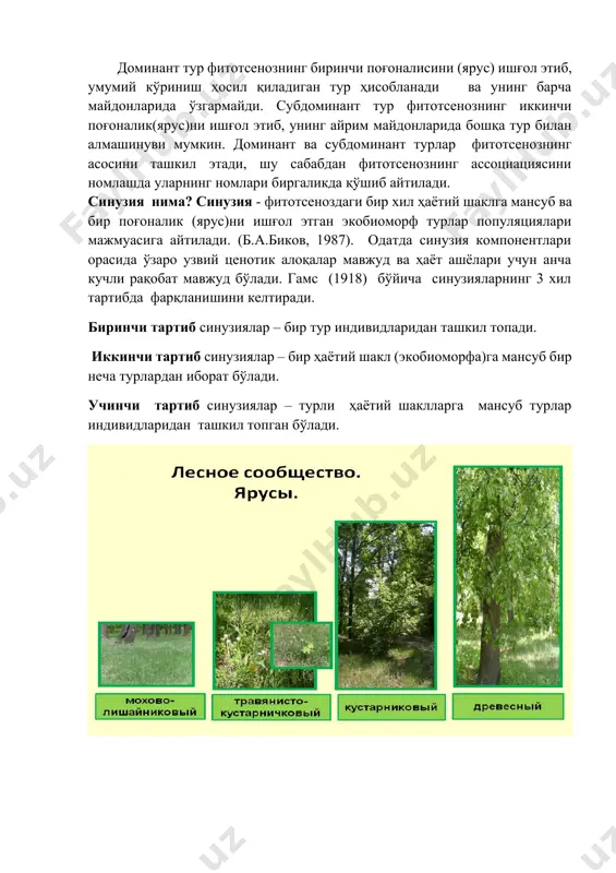 иги бўйича 10-15 см.ча фарқ қиладиган баландликдаги тур индивидлари фарқ қилиниб яруслар аниқланади. яруслар бўйича турлар аниқланади ва дафтардаги жадвалнинг бўйи яруси деб белгиланган ва бошқа катакчалари тегишли рақамлар билан тўлдирилади. ҳар бир ярусда жойлашган турлар номи (лотинча, ўзбекча) кетма-кет ёзилгани маъқул. ярусларни аниқлаб бўлгач, аввалдан маълум далилларга асосланиб фитотсенознинг доминант ва субдоминант турларини белгиланг. фитотсеноз ярусларини аниқлаб бўлгач, унинг синузиялари таркибини аниқланг. юқорида яъни назарий қисмда берилган қоидага асосланиб сиз ўрганган фитотсеноздаги синузия хилларини, уларнинг турлар таркибини аниқланг ва дафтарга чизиб ёзиб олинг. ҳар бир синузияни ташкил этган тур индивидлари орасидаги ўзаро тсенотик алоқалар ҳақида хулосалар чиқаринг. ўсимликлардан гербарийлар тайёрланг, фитотсеноз синузияларининг схематик расмини чизинг. гурух талабалари топшириқларни кичик гурухларга бўлиниб бажариши лозим. 1-топшириқ. ҳаётий шаклларга доир даниялик ботаник олим к. раункиер томонидан (1934) ишлаб чиқилган классификация бўйича янгиланиб турувчи органлар (куртакнинг яшаши, жойлашуви, қишлаши ва бошқа) ва тупроқ сатҳига нисбатан жойлашувига асосланганган ҳолда ўсиши ва ривлжланишини турли ўсимликлар …