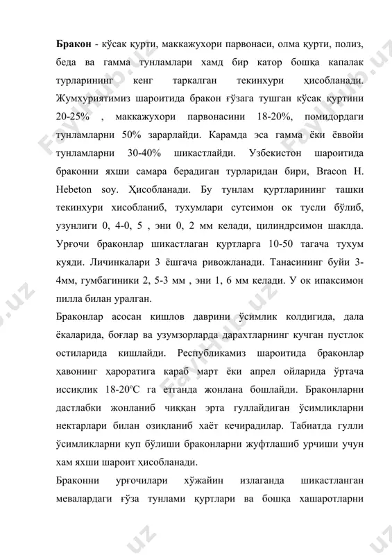 вонасига 40 тагача тухум куяди. бракон жанубий омбор парвонаси, тегирмон парвонаси ва мум куяси қуртларидан купайтирилади. браконни лаборатория шароитида шу уч хил хўжайиндан купайтирилади ва булар ичида энг афзали мум куяси қурти ҳисобланади. бракон урчитиш учун катта ёки биологик пробиркага мум куясининг 5-6 ёшидаги улгайган қуртларидан биттадан жойланади. браконни уруғланган урғочисини хам шу пробиркага куйиб юборилади ва пробирка ёпилади. эндигина учиб чиққан текинхурлар дастлаб шиша банкаларга жойланади. бракон урғочиларини хар икки кунда пробиркадан пробиркага 4-5 марта кучирилади. куя капалаги қуртларининг зарарланиши ўрта хисобда 80-85% ташкил этади. 4-5 кун утгач қурт танасида пиллалар пайдо бўлади. 8-10 кундан кейин эса, етук текинхурлар учиб чикади. уларни уч литрли баллонларга 2000 тадан туплаб борилади. макбўл шароитда зарарлаганда эркак ва урғочиларининг нисбати 40 ва 60% ташкил этади. купчилик биолабораторияларда ҳозирги даврда браконни группалаб урчитиш усули кулланилмокда. уч литрли шиша идишга букланган когозда 300 тадан куя қурти ва 160 та уруғланган бракон урғочиси жойланади. банкаларни коронги …