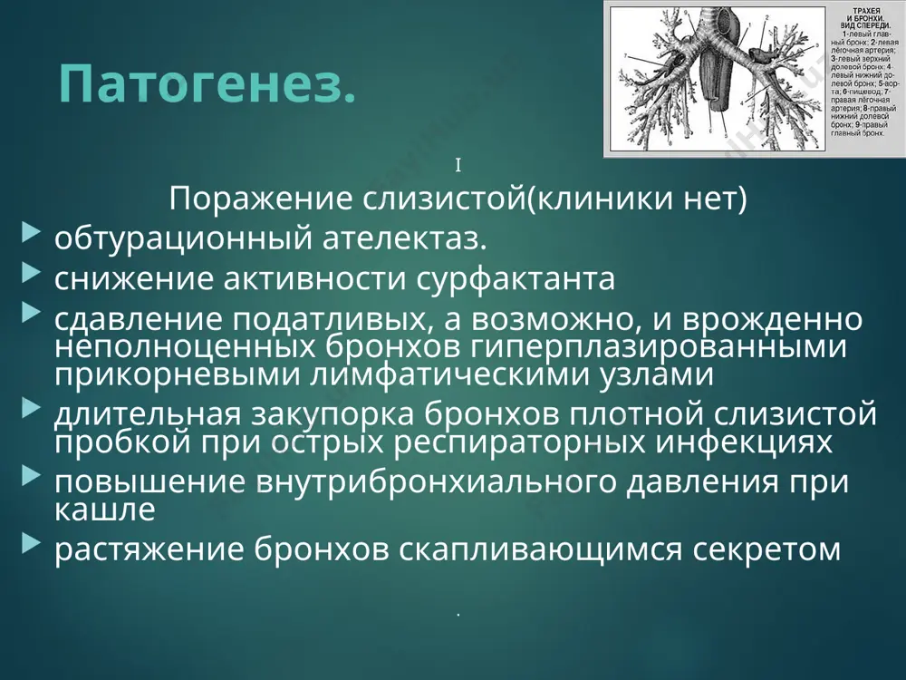 ние стойко удерживающихся очагов влажных хрипов при физикальном обследовании в период ремиссии болезни; рентгенологические признаки грубой деформации легочного рисунка, как правило, в области нижних сегментов или средней доли правого легкого, томо - и бронхографические признаки бронхоэктазии. диффиренциальная диагностика хобл (кт и бронхография) бронхиальные кисты кистовидных ателектазов (бронхография с хорошим контрастированием кист) туберкулез (бактериологическое исследование мокроты, кт, наличие инфильтратов в легких) формулировка развернутого клинического диагноза указание нозологии, включает: 1) локализацию процесса (с указанием пораженных сегментов); 2) стадию процесса; 3) фазу течения (обострение или ремиссия); 4) осложнения. осложнения кровохарканье; астматический компонент; очаговая (перифокальная) пневмония; абсцесс легкого; плеврит (эмпиема плевры); амилоидоз почек, реже селезенки и печени (учитывая эффективное лечение основного заболевания амилоидоз в настоящее время развивается на поздних этапах болезни и крайне редко); вторичный хронический бронхит. последний является самым частым и обычно прогрессирующим осложнением, ведущим к дыхательной и легочно-сердечной недостаточности, нередко оказывающейся непосредственной причиной смерти больных. причиной смерти может быть легочное кровотечение или …
