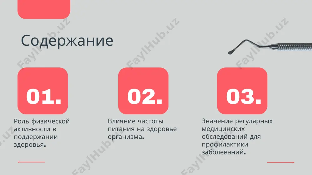 или бегом; для пожилых людей — прогулки на свежем воздухе и легкие упражнения для поддержания гибкости. частота питания играет ключевую роль в поддержании здоровья организма. исследования показывают, что регулярное и сбалансированное питание способствует улучшению обмена веществ и снижению риска заболеваний. например, люди, которые питаются 4-5 раз в день, отмечают большую работоспособность и меньшее чувство усталости. правильная частота приемов пищи помогает поддерживать стабильный уровень энергии и общее самочувствие, делая ее важным аспектом здорового образа жизни. влияние частоты питания на здоровье оптимальная частота приемов пищи существует несколько рекомендаций по оптимальной частоте приемов пищи, которая составляет 4-5 раз в день. это помогает поддерживать стабильный уровень сахара в крови и предотвращает переедание. важно учитывать индивидуальные особенности каждого человека, такие как возраст (например, подростки и пожилые люди), уровень физической активности и состояние здоровья, чтобы выбрать наиболее подходящий режим питания. рекомендации по частоте индивидуальные особенности частота питания и заболевания исследования и результаты регулярное питание снижает риск …