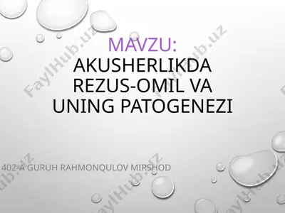 akusherlikda rezus-omil va uning patogenezi — PPTX