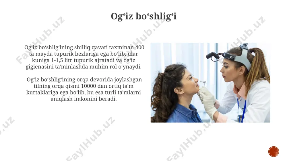 ga yo'l ochuvchi, strategik ahamiyatga ega anatomik mintaqa hisoblanadi. halqum, taxminan 12-14 sm uzunlikdagi naysimon tuzilma bo'lib, tomoqning orqa qismida joylashgan va nafas olish va yutish jarayonlarida muhim rol o'ynaydi. burun boʻshligʻining tuzilishi burun boʻshligʻining sinuslari – frontal, maksillar, etmoid va sfenoid sinuslar – burun boʻshligʻiga teshiklar orqali ulanadi va ularning hajmi turlicha, masalan, maksillar sinuslarning hajmi 15 ml ga yaqin boʻladi. burun boʻshligʻining shilliq qavati 3 ta konxaga ega boʻlib, ularning sirti maydonini 10-15 baravar oshiradi va havoni tozalash, isitish hamda namlash vazifasini bajaradi. ushbu konxalar yuqori, oʻrta va pastki konxalar deb nomlanadi. halqumning funksiyalari halqumning mushak devorlari 3 qavatdan iborat: shilliq qavat, fibroz mushak qavati va adventisiya, bu esa oziq-ovqat bolusini va havo oqimini boshqarishga yordam beradi. masalan, yutish vaqtida epiglottis nafas yo'lini himoya qiladi. halqum, tonzillar kabi limfoid to'qimalarni o'z ichiga oladi, bu immunitet tizimining bir qismi bo'lib, 5 yoshgacha bo'lgan bolalarda yuqumli kasalliklarga qarshi himoya qilishda …
