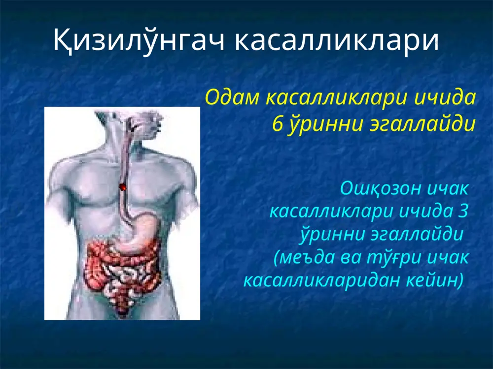 эзофагеал кисталар 6. томирлар аномалияси ii. жароҳатлар 1. травматик жароҳатлар – ташқи ва ички 2. қизилўнгач куйиши ва унинг асоратлари iii. қизилўнгач касалликлари 1. дивертикуллар - пульсион ва тракцион 2. яллиғланиш касалликлари - эзофагит iv. қизилўнгач ўсма касалликлари 1. ҳавфсиз ўсмалар 2. ҳавфли ўсмалар v. қизилўнгач моторикасини бузилиши (кардиоспазм) 1. ахалазия 2. эзофагоспазм қизилўнгач касалликлари рак саркома полиплар кардиоспазм чандиқли стриктуралар дивертикуллар эзофагит туберкулез заҳм 60-80% 0,04 % 0,04 % 5,1 % 0,7 % 0,6 % 0,2 % 0,02 % 0,08 % барча ҳавфли касалликлар ичида қизилўнгач саратони 3,4%ни ташкил қилади дисфагия даражалари i даража – барча овқат луқмаси ўтади, фақат ютиниш пайтида ноҳуш ҳиссиёт пайдо бўлади (куйишиш, тирналиш, баъзида оғриқ) ii даража – қаттиқ луқма қизилўнгачда ушланиб қолади ва ўтиши қийинлашади, бемор сув ичишга мажбур бўлади iii даража – қаттик луқма ўтмайди. мажбурий луқмани ютиш пайтида бемор қайт қилиши мумкин. беморлар суюқ ва ярим суюк озиқа истемол қилишади iv …