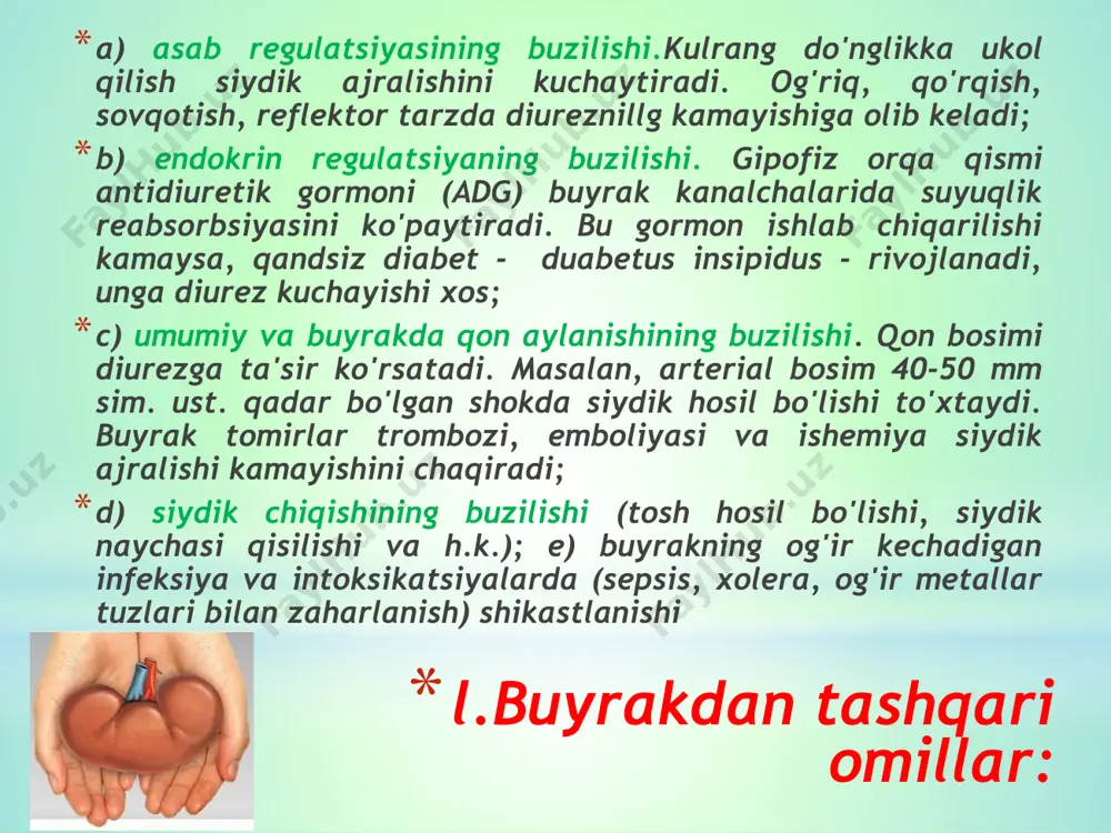 yniqsa, sovuq nam iqlimda tez rivojlanadi. shamollash buyrakning qon bilan ta'minlanishi va trofikasining reflektor buzilishi orqali organizm reaktivligi va immunologik reaksiyalar kechishini o'zgartirishi mumkin. shuning uchun ham u ilgari sensibilizatsiyalangan organizmda hal qiluvchi omil rolini o'ynashi mumkin. glomerulonefritning infeksion etiologiyasidan tashqari uning zardob va vaksin tabiatli bo'lishi ham nazarda tutiladi. klinik nuqtai nazaridan dg proteinuriya, gematuriya, shish, arterial gipertenziya, buyrak funksiyasining buzilishi bilan namoyon bo'ladi. pielonefrit ( 3,5 g/kun), shish (ko'pincha anasarka darajasiga yetadigan kuchli shish), gipoproteinemiya (qonda umumiy oqsil 7,8 mmol/l), giperlipoproteidemiya, gipertriglitseridemiya. ko'pincha silindruriya aniqlanadi, bundasiydikning nisbiy zichligi yuqori bo'ladi. gipoproteinemiya va gipoalbuminemiya asosan qon oqsillarining siydik bilan yo'qotilishi natijasida hosil bo'ladi. nefrotik shish patogenezi qon zardobi onkotik bosimining pasayishi (gipoalbuminemiya hisobiga) va organizmda natriy ushlanishiga olib keluvchi ikkilamchi giperaldosteronizm va adg gipersekretsiyasi bilan bog'liq. shish sindromining og' ir-yengilligini ifodalovchi gipoalbuminemiyaning namoyon bo'lish darajasi ko'pincha nafaqat albuminning siydik bilan yo'qotilishiga, shu bilan birga uning jigarda ro'y beruvchi ekstrarenal …