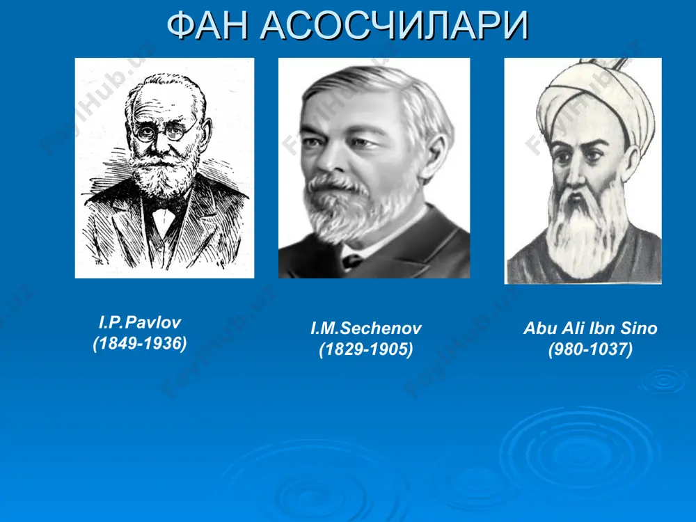 ар билан ўз фикрини ифода қилади ва бошқа ижобий характерлар билан ажралиб туради. оаф типлари 3. кучли, қўзғалувчан, мувозанатлашган, кам ҳаракат тип-флегматик. бу типда кўзғалиш ва тормозланиш кучли, аммо уларнинг ўрин алмашинуви суст. бу типга кирувчи болаларда шартли рефлекслар секин ҳосил бўлади, тез сўнади ва секин тикланади, улар ўқиш, ёзиш ва гапиришни тез ўрганадилар, уларнинг хулқлари яхши, одобли, нутқлари секин ва равон, ҳис туйғулари паст бўлади. бундай тоифали инсонларда секин харакатланиш ва ута йуввошлик кузатилади. оаф типлари 4. нимжон ёки суст тип-меланхолик. бу типда нерв просесслари сустлиги, кам қўз-ғалувчанлиги ва мувозанатлашмаганлиги, яъни тормозланиш жараёнининг юқорилиги билан характерланади. бу типга кирувчи болалар иш қобилияти паст, нутқи секин, яхши ривожланмаган, сўз бойлиги кам, қийинчиликлардан қўрқадиган, тез чарчайдиган, ўқиш, ёзишни секин ўрганадиган, мактаб ҳаётига қийинчилик билан кўникадиган, ўз ўртоғининг характерига ихтиёрсиз мосла-шадиган, ўзлаштириш паст, характери беқарор, мақсадсиз, диққати беқарорлиги билан характерланади. тарихда яшаб ижод қилган буюк сиймолар ҳам маълум типга хос бўлганлар. масалан: …
