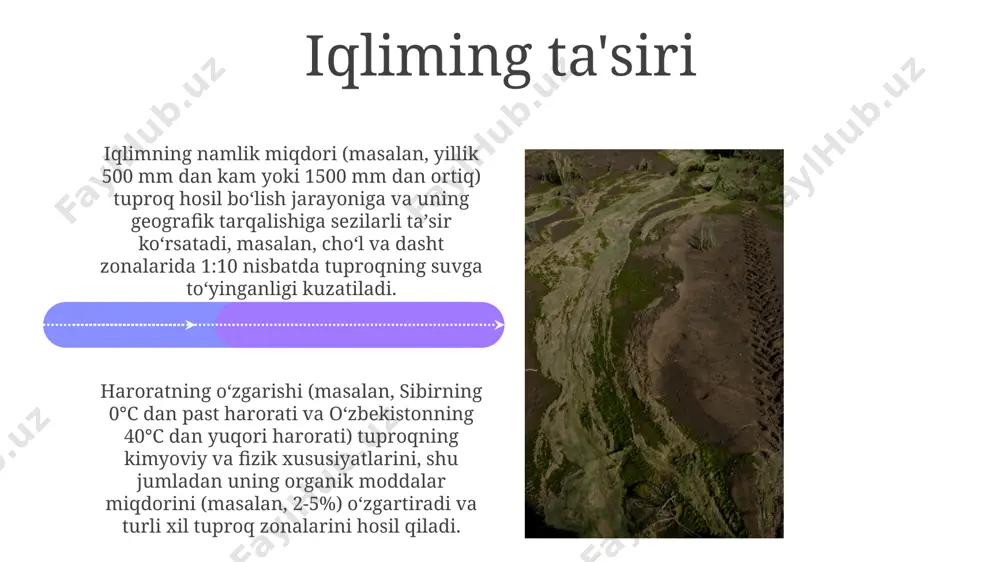 tuproqlar geografik tarqalishining asosiy qonuniyatlari - Page 4