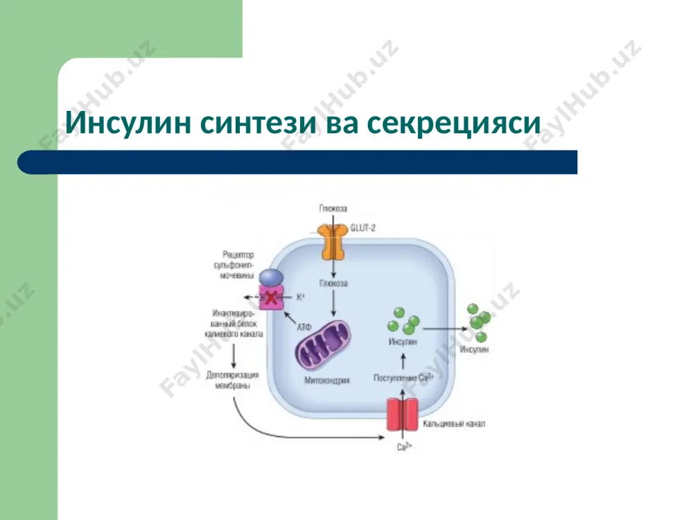 моддалар алмашинуви хасталиклари - Page 4