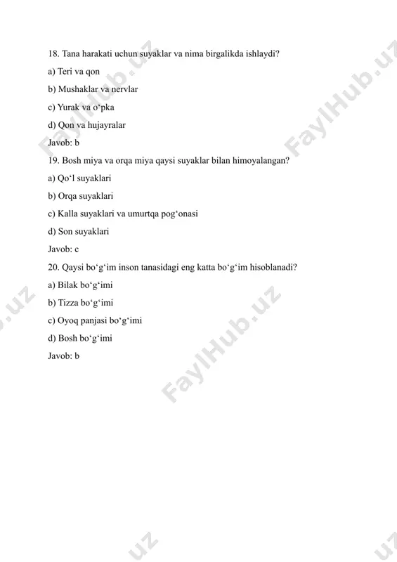 odam tayanch tizimi - Page 5