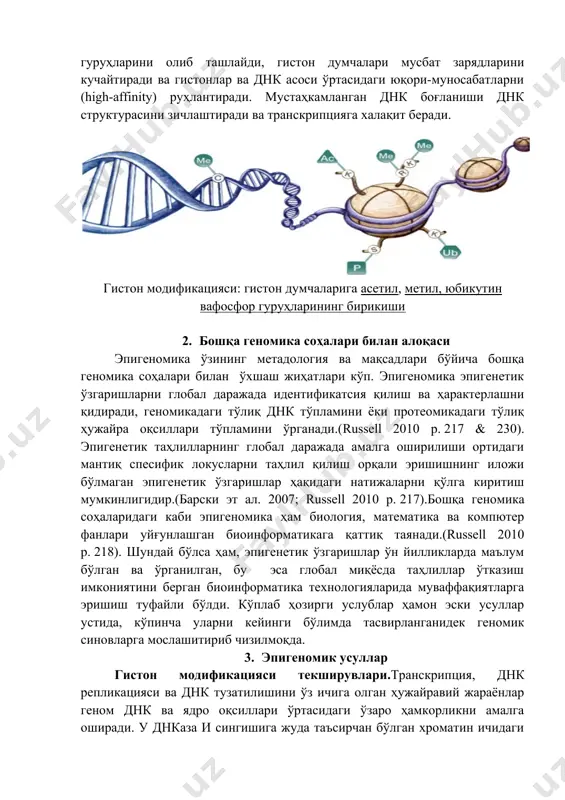 asetillanish, metillanish, fosforillanish, yubikutinlanish, sumolanish (small ubiquitin-like modifier – modifikatsiyalovchi kichik yubikutin), adp -ribozalanish (adenozin difosfat riboza), diaminlanish va prolin izomerlanish sifatida ma'lum. giston dumchalari odatda o'zlarining lizin va arginin aminokislotalarida mavjud amin guruhlari tufayli musbat zaryadlangan bo'ladi. ushbu musbat zaryadlar giston dumchalari bilan dnk asosidagi manfiy zaryadlangan fosfat guruhlariga ta'sir o'tkazadi va bog'lashga yordam beradi. normal hujayrada sodir bo'luvchi atsetillanish, gistondagi musbat zaryadlarni aminlarni amidlarga o'zgartirish yo'li bilan neytrallaydi va gistonlarning dnkga bog'lanish qobiliyatini pasaytiradi. bu bog'lanishning susayishi xromatin kengayishiga imkon beradi va genetik transkripsiyaga joy ochiladi. giston diatsetilazalar o'sha asetil guruhlarini olib tashlaydi, giston dumchalari musbat zaryadlarini kuchaytiradi va gistonlar va dnk asosi o'rtasidagi yuqori-munosabatlarni (high-affinity) ruhlantiradi. mustahkamlangan dnk bog'lanishi dnk strukturasini zichlashtiradi va transkriptsiyaga xalaqit beradi. giston modifikatsiyasi: giston dumchalariga asetil, metil, yubikutin vafosfor guruhlarining birikishi 2. boshqa genomika sohalari bilan aloqasi epigenomika o'zining metadologiya va maqsadlari bo'yicha boshqa genomika sohalari bilan o'xshash jihatlari ko'p. epigenomika epigenetik …
