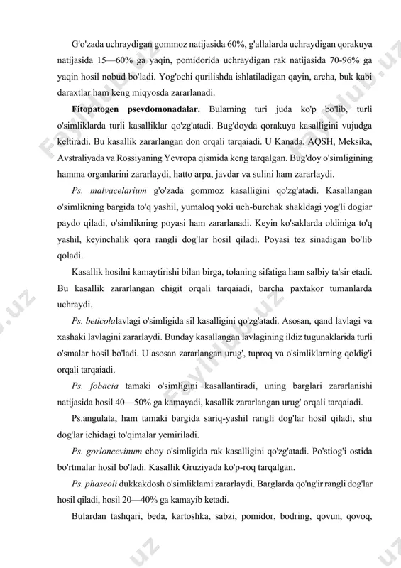 choy o'simligida rak kasalligini qo'zg'atadi. po'stiog'i ostida bo'rtmalar hosil bo'ladi. kasallik gruziyada ko'p-roq tarqalgan. ps. phaseoli dukkakdosh o'simliklami zararlaydi. barglarda qo'ng'ir rangli dog'lar hosil qiladi, hosil 20—40% ga kamayib ketadi. bulardan tashqari, beda, kartoshka, sabzi, pomidor, bodring, qovun, qovoq, karam, gulkaram, danakli rezavor mevalardan nok, tutilg'oq, sitrus o'simliklardan limon, apelsin, mandarin, xona gullaridan oleandra, giasintlarda ham turli-tuman bakterioz kasalliklari uchraydi. fitopatogen batsillalar. bular ham turli-tuman bo'lib, o'simliklarda kasallik qo'zg'atadi. вас. mesentericus, makkajo'xori so'ta-sida bakterioz kasalligini qo'zg'atadi. hatto o'rik va shaftoli meva-larini ham zararlaydi, barglari zararlansa, yemirilib ketadi. bu kasallik birinchi marta armanistonda aniqlangan. fitopatogen bakteriyalardan вас. phylophtorum kartoshkada qorason kasalligini qo'zg'atadi. fitoftora poyasining pastki tomo-nidagi parenxima to'qimalaridan o'tkazuvchi naylar orqali boshqa joylarga o'tadi, poya mo'rt bo'lib qoladi. kasallik zararlangan tugunaklar yoki tuproq orqali tarqaiadi, bunda 5% dan 50% gacha hosil nobud bo'ladi. вас. corotovorum sabzavotlarda chirish kasalligini keltirib chiqaradi. вас. tracheipilum bodring, pomidor va shu oilaga mansub bosh-qa o'simliklarda so'lish …
