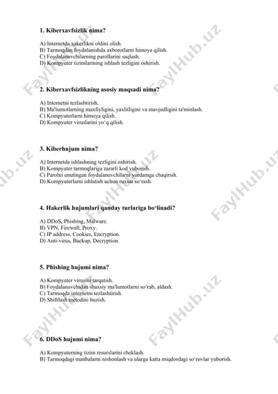 kiberxavfsizlik — DOCX