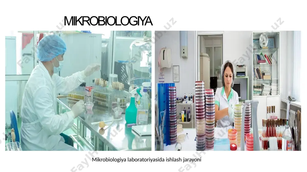 mikrobiologik tadqiqotlarning asosiy usullari - Page 3