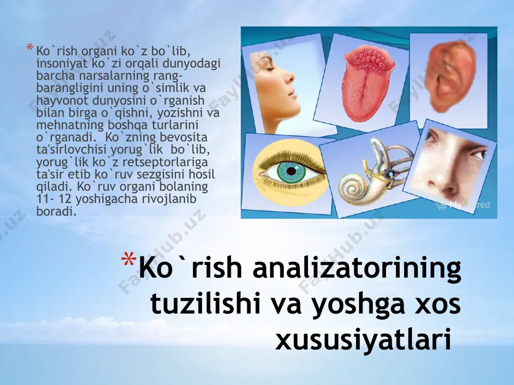 yaqindan ko'rish va uni oldini olish - Page 5