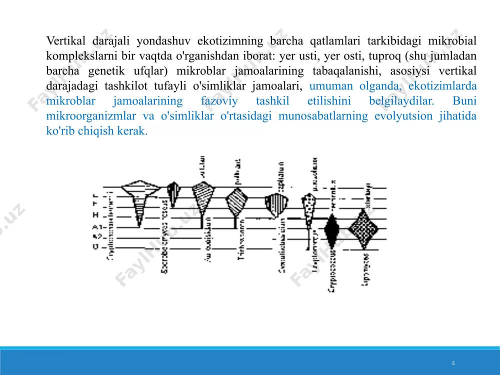 qonuniyatlar belgilanadigan asosiy ob'ektlar spora hosil qiluvchi aerob bakteriyalar - batsillalar edi. turlarni identifikatsiyalash maxsus tanlangan muhitda koloniyalarning madaniy va morfologik xususiyatlari asosida vizual ravishda amalga oshirildi. natijada, shimoliy tuproqdan janubiy tuproqqa o'tish paytida dominant tayoqchalarning tur tarkibi o'zgarib borishi ko'rsatildi. uzoq vaqt davomida adabiyotlarda ba'zi bir turdagi mikroorganizmlarning ayrim geografik zonalar va tuproq turlariga qamalishini tasdiqlovchi yoki rad qiluvchi yangi xabarlar paydo bo'lmadi. buning sababi shundaki, mikrobiologiyada geografik tahlil uchun mos bo'lgan haqiqiy materiallarning to'planishi, birinchi navbatda, mikroorganizmlarni, ayniqsa bakteriyalarni miqdoriy hisobga olish va turlarini aniqlash qiyinchiliklari bilan bog'liq bo'lgan katta mehnat va vaqt sarf-xarajatlari bilan juda sekin sodir bo'ladi. mikroblar dunyosining evolyutsiyasiga taalluqli paradigma o'zgarishi ayrim turlarning geografik chegaralanishini emas, balki landshaft va unda rivojlanayotgan mikroblar hamjamiyatining iqlimiy va boshqa sharoitlarga muvofiqligini o'rganish zarurligini anglashga olib keldi. aynan mikrobial biogeografiyaning ushbu pozitsiyalaridan turli tabiiy-iqlim zonalari tuproqlaridagi mikroblar jamoalarining tuzilishi tahlil qilinadi. 17 18 tabiatni muxofaza qilishni aspektlari. iqtisodiy …