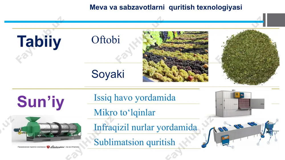 meva-uzum quritish maydonchasini tashkil etish - Page 4
