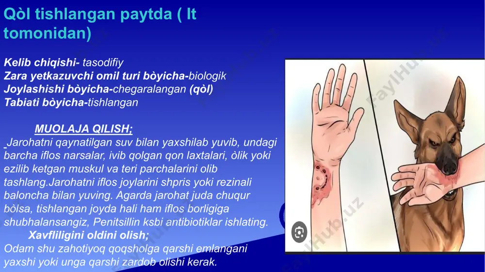 jarohatlarda infeksiyani bartaraf qilish - Page 5