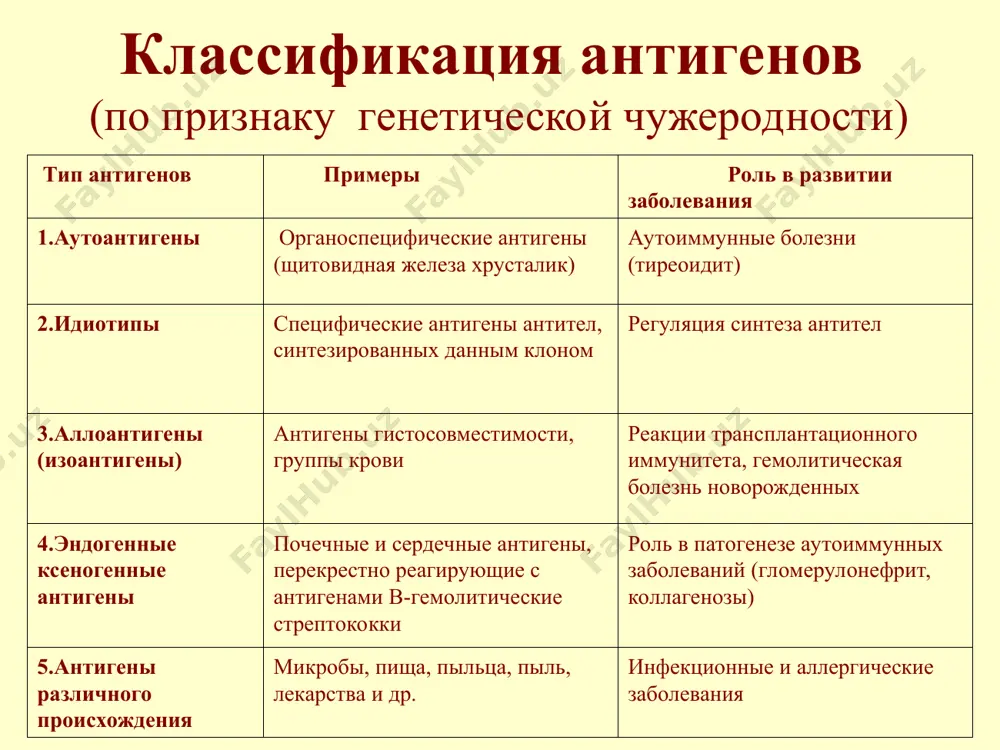 антигены и антигенраспознающие молекулы иммунной системы - Page 5