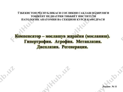 kompenstator - moslanish jarayonlari — PPT