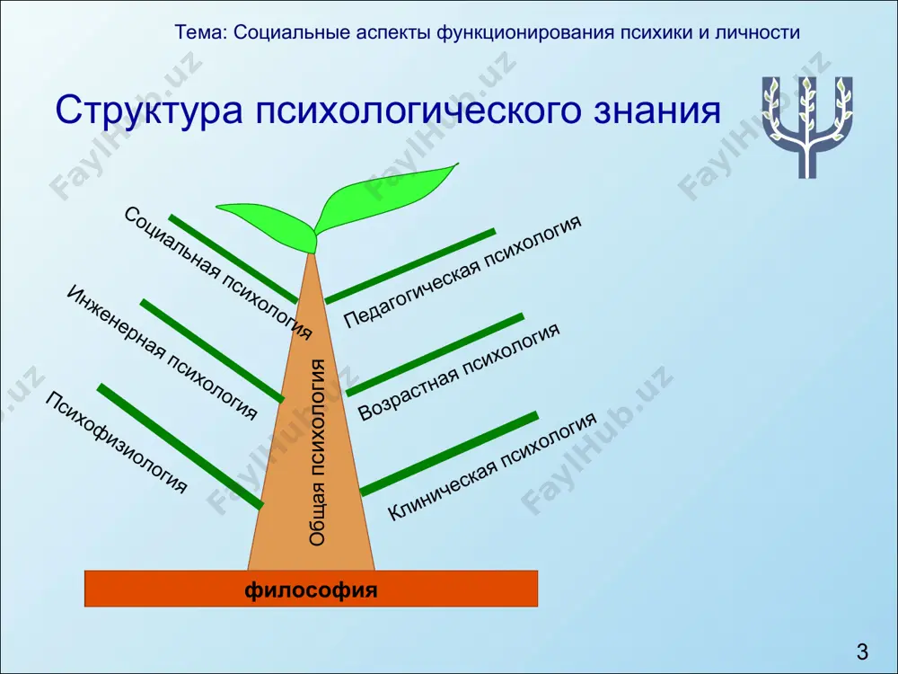 удент личность идентичность самость эго тема: социальные аспекты функционирования психики и личности * тема: социальные аспекты функционирования психики и личности * внутриличностный конфликт роль я переутомление, появление неуверенности в себе тема: социальные аспекты функционирования психики и личности * тема: социальные аспекты функционирования психики и личности * внутриличностный конфликт я роль объективное изменение ситуации субъективный отказ от роли вытеснение конфликта из сознания рационализация «неадекватное поведение» самообвинение тема: социальные аспекты функционирования психики и личности * тема: социальные аспекты функционирования психики и личности * общение – специфическая форма взаимодействия человека с другими людьми, посредством которой реализуются социальные отношения людей тема: социальные аспекты функционирования психики и личности * тема: социальные аспекты функционирования психики и личности * тема: социальные аспекты функционирования психики и личности * тема: социальные аспекты функционирования психики и личности * коммуникация – обмен информацией между людьми интеракция – взаимодействие между людьми перцепция – восприятие друг друга партнерами по общению и установление на …