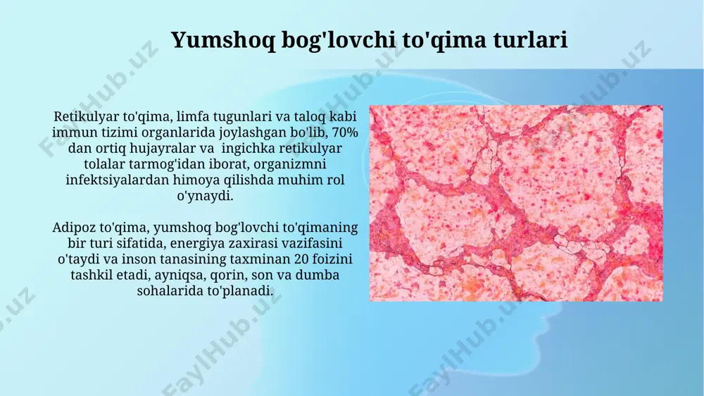 qilib, hujayralararo moddaning ko'pligi, hujayralarning kamligi va turli xil funksiyalarni, masalan, mexanik himoya (suyaklar) va moddalar almashinuvi (qon)ni bajarishi bilan ajralib turadi. bog'lovchi to'qimaning tarkibiy qismlari, masalan, kollagen tolalari, elastik tolalar va proteoglikanlar, to'qimaning mustahkamligini, elastikligini va suvni ushlab turish qobiliyatini belgilaydi; ularning nisbati turli xil organlarda, masalan, jigar va o'pkada farq qiladi. suyak to'qimasi suyak to'qimasida osteositlar deb ataluvchi 20 ga yaqin turli xil hujayralar mavjud bo'lib, ularning har biri suyakning shakllanishi, o'sishi va ta'mirlanishida muhim rol o'ynaydi, jumladan, toshkentdagi ilmiy tadqiqotlar natijalariga ko'ra. suyak to'qimasining 60% dan ortig'i gidroksiapatit kristallaridan iborat bo'lib, ularning mustahkamligini va qattiqligini ta'minlaydi, bu esa inson skeleti uchun muhim ahamiyatga ega, masalan, o'zbekiston aholisi uchun. qattiq bog'lovchi to'qima qattiq bogʻlovchi toʻqimaning 3 ta asosiy turi mavjud boʻlib, ularning biri – suyak toʻqimasi (osteon) inson tanasining taxminan 18% ini tashkil etadi va mexanik kuchga chidamlilik bilan ajralib turadi. qattiq bogʻlovchi toʻqima, masalan, suyak, 200 dan …