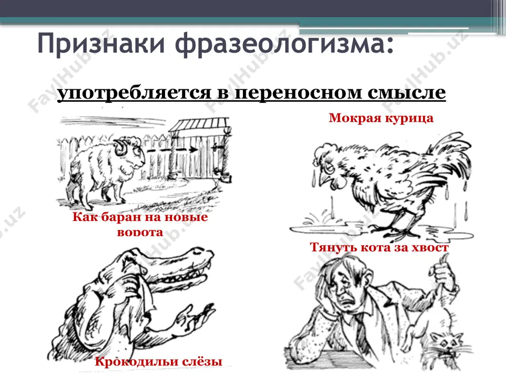 е составляют так называемые кальки). фразеологизмы похожи на пословицы, но, в отличие от них, не являются законченными предложениями. фразеологизмы описываются в специальных фразеологических словарях. image2.png image3.png image4.png image5.png /docprops/thumbnail.jpeg
