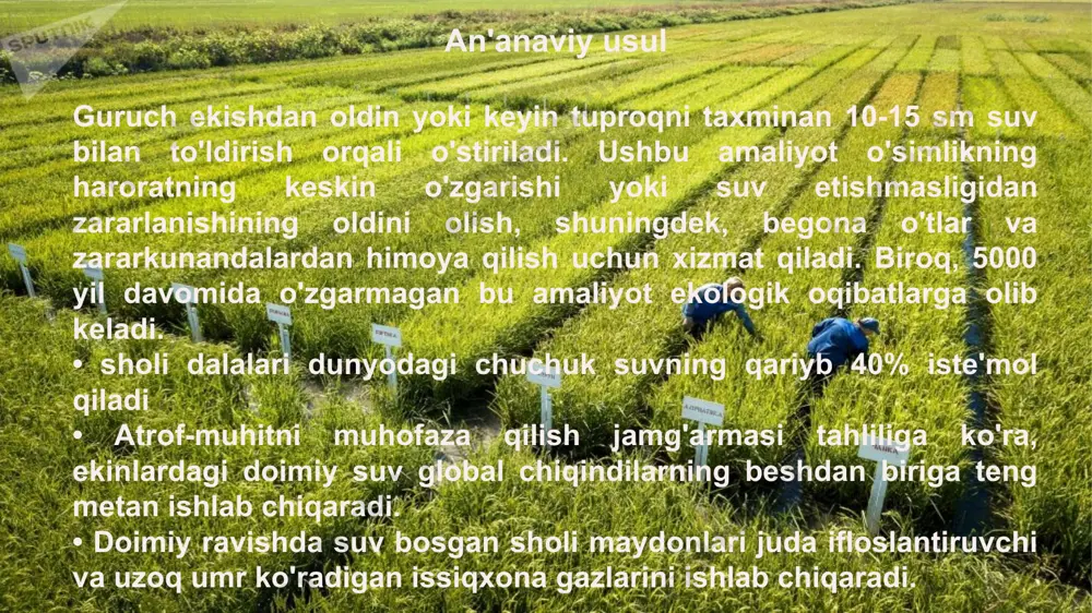 kamayishi bir necha million avtomobilni yo‘ldan olib tashlash bilan barobar bo‘ladi, deydi netafimning aniq qishloq xo‘jaligi bo‘limi prezidenti gabi miodovnik. netafim ushbu tashabbusni boshqarganidan juda faxrlanadi. iqlim o'zgarishi haqida gap ketganda, barqaror qishloq xo'jaligining yagona yo'li - kamroq bilan ko'proq o'sishdir. kamroq er, kamroq suv va kamroq emissiya. dastlab, tomchilatib sug'orish tizimi uchun nasoslar, quvurlar va datchiklarni o'rnatish, ya'ni etarli miqdorda mablag 'sarflash kerak. shu bois dehqonlar, ayniqsa, ko‘p yillardan buyon bir xil bo‘lib kelgan sholi yetishtirishda ikkilanishlari odatiy hol. biroq, netafim yangi usul normaga aylanishi mumkinligiga amin. netafimning barqaror rivojlanish boʻyicha global direktori jon farnerning soʻzlariga koʻra, investitsiya qilish qulayligi koʻplab omillarga bogʻliq, masalan, “siz dunyoning qayeridasiz, hosilingiz qancha, suvning narxi dunyo miqyosida farq qiladi va oʻgʻit narxi. ." ammo, yana, farner uchun, agar kompaniya o'z kompaniyasini yanada barqaror qilish uchun vaqt va pul sarflashga qaror qilsa, sarmoyasini qaytarish yo'lini topish muhimdir. tomchilatib sug'orish, shuningdek, ilgari yaroqsiz bo'lgan erlarda …