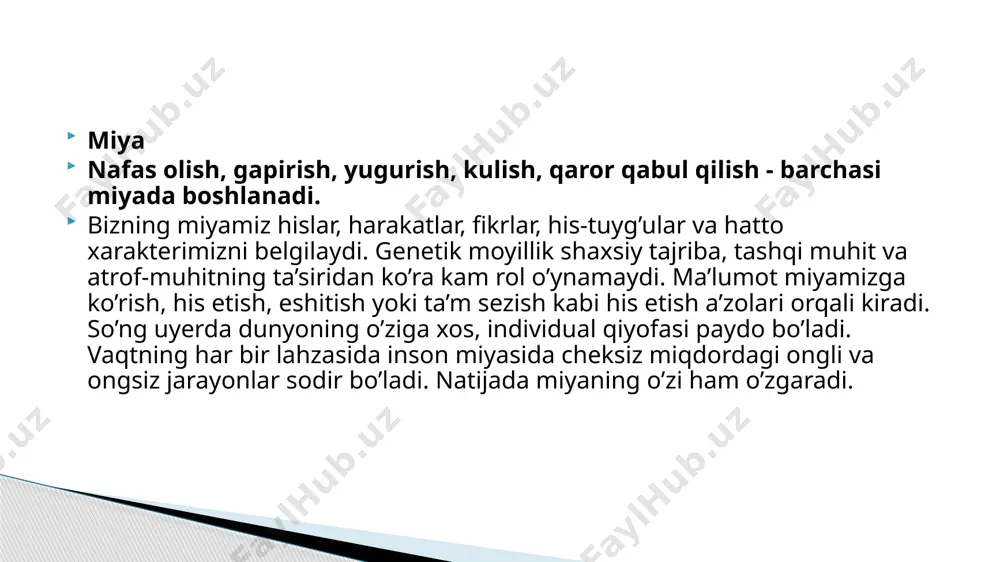 miya va ong. fikrlash to‘g‘risida hozirgi zamon tasavvurlari. - Page 4