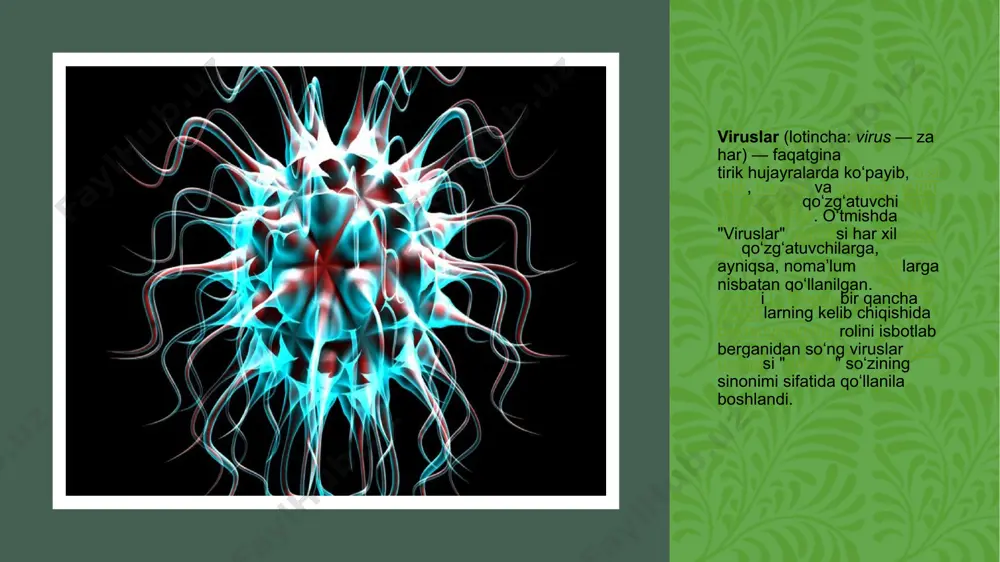 ladi. viruslar urugʻining lotincha nomiga virus soʻzi (mas., enterovirus), oilasi nomiga viridae soʻzi (masalan, poxviridae) qoʻshilib yoziladi. viruslar organizmga har xil yoʻllar bilan kiradi, viruslar oʻsimlik hujayralariga chetdan faqat ular shikastlanganida kirishi mumkin. gripp viruslar va boshqalarda hujayra qobigʻini buzish xususiyatiga ega boʻlgan fermentlari bor viruslar organizmga kirgach, infeksiyanint latent yoki yashirin davri boshlanadi. koʻpgina viruslar hujayralarda toʻplanib, hujayra ichida oʻziga xos tarkibiy qismlar hosil qiladi (qarang virusli granulyoz). viruslar bilan zararlangan oʻsimliklar, odatda, butun hayoti davomida infeksiya oʻchogʻi boʻlib qoladi. viruslar ekologik, biologik va boshqa. omillar taʼsirida vujudga keladigan kuchli oʻzgaruvchanlikka ega. viruslar tabiatda keng tarqalgan boʻlib, ular juda koʻp xoʻjayinga ega. asosan, soʻruvchi hasharotlar, kanalar va nematodalar bilan tarqaladi. baʼzi viruslar urugʻlar orqali tarqaladi va deyarli barcha viruslar kasal oʻsimlik jinssiz koʻpaytirilganda avlodga oʻtadi. viruslarning patologik taʼsiri xilma-xil boʻlib, asosan, ularning koʻpayishidan xoʻjayin organizmida yuz beradigan oqsil va nuklein almashinuvining buzilishi bilan belgilanadi (qarang virusli kasalliklar). viruslarni virusologiya …