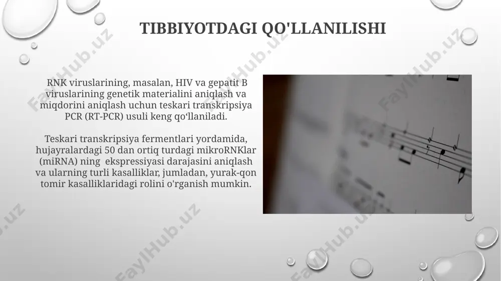 teskari transkripsiya - Page 4