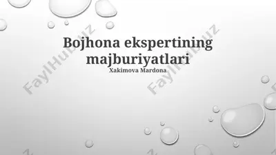 bojxona ekspertining majburiyatlari — PPTX
