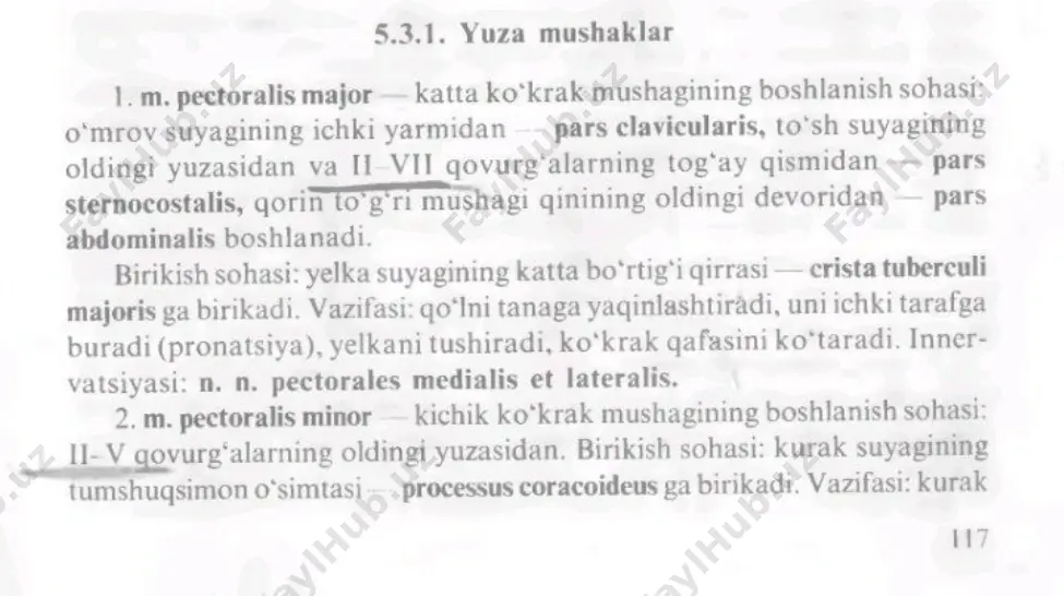 suyak o'simtasining anatomiyasi - Page 5