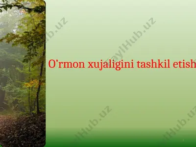 o’rmon xujaligini tashkil etish — PPTX