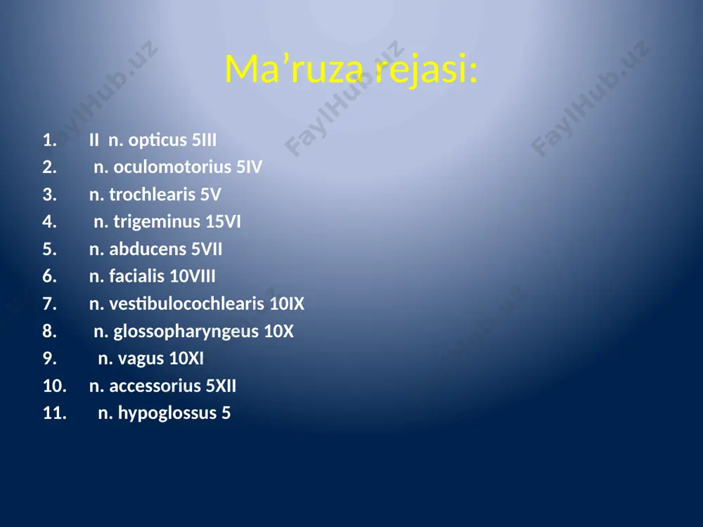 bosh miya juft nervlarining funktsional anatomiyasi - Page 3
