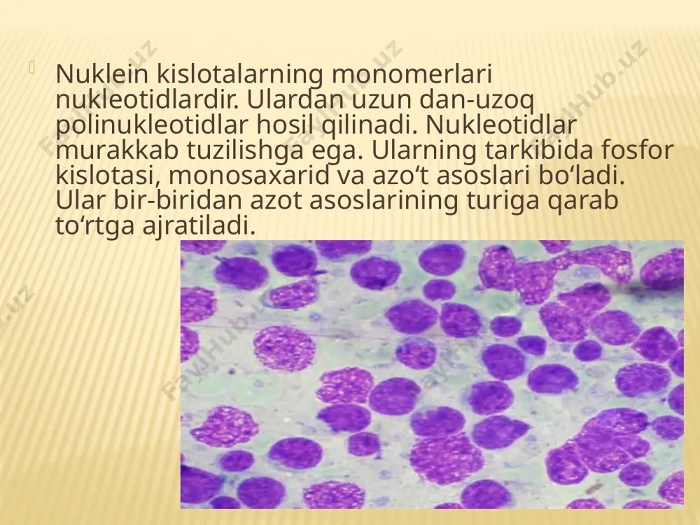 nuklein kislotalar. 9 - sinf - Page 5